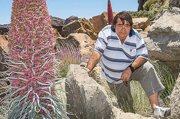Carlos Hernández - Autor de Pequeñas Miradas