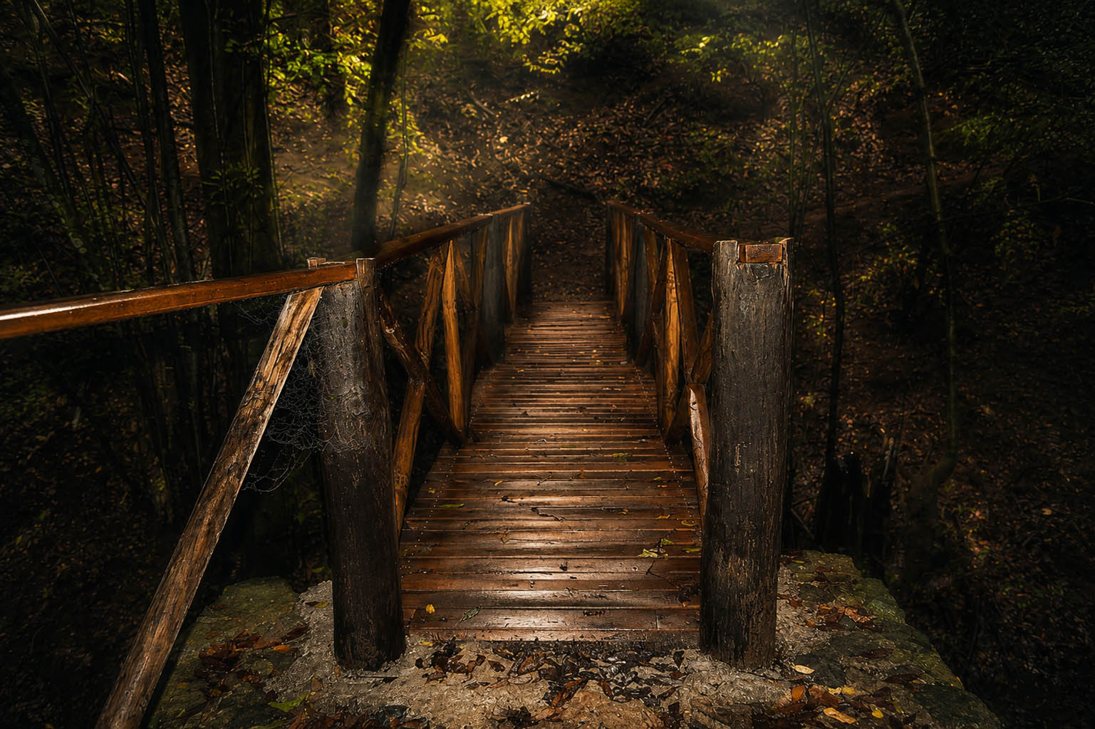 Bosque del Adelantado