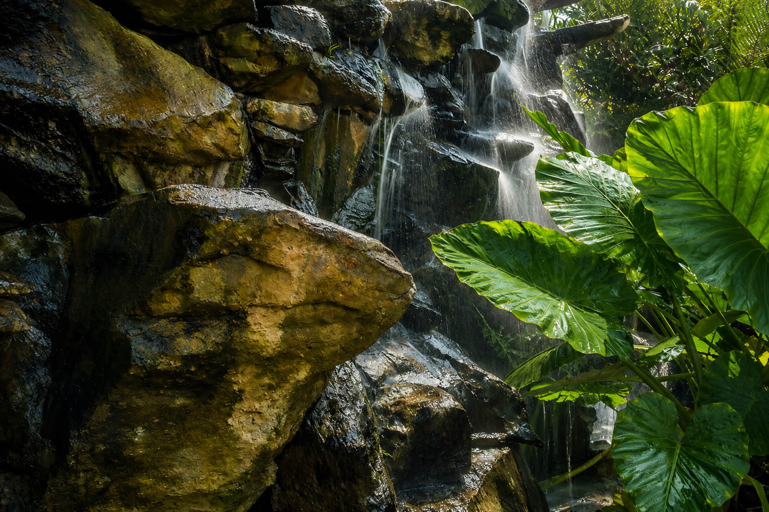 Cascada en el Palmetum