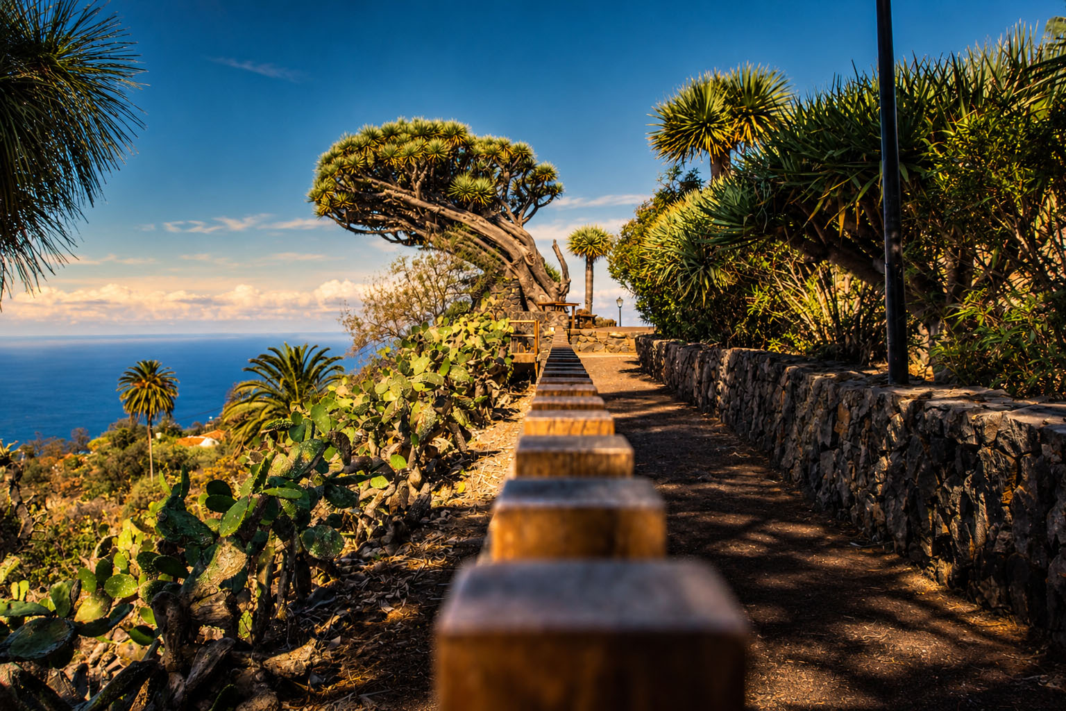 Mirador de los Dragos