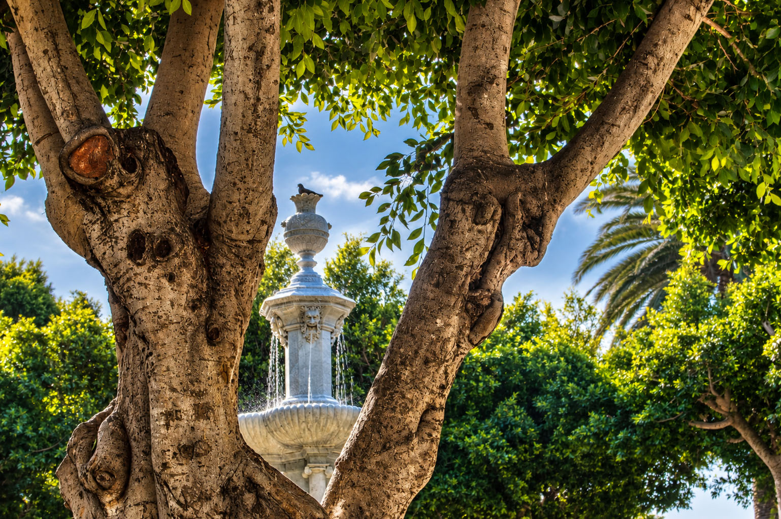 Refugio de Historia: La Fuente de la Plaza del Adelantado